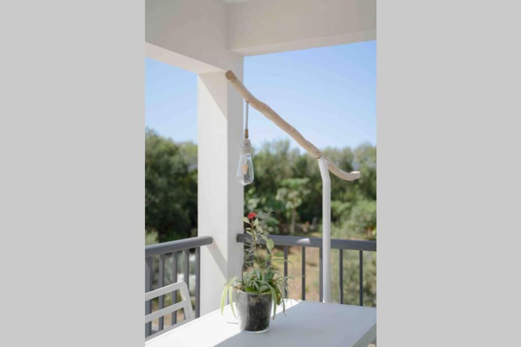 Ti-Punch T3 Climatise Manapany Les Bains Apartment Exterior photo